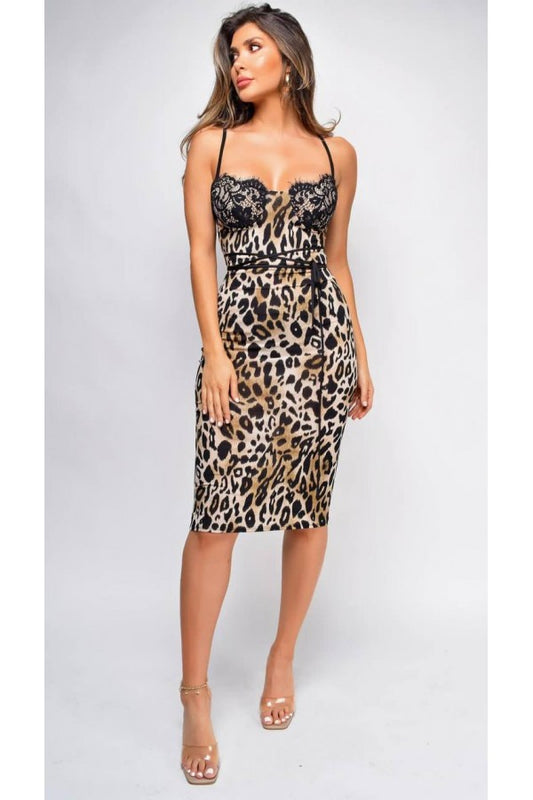 Lace Leopard Dress